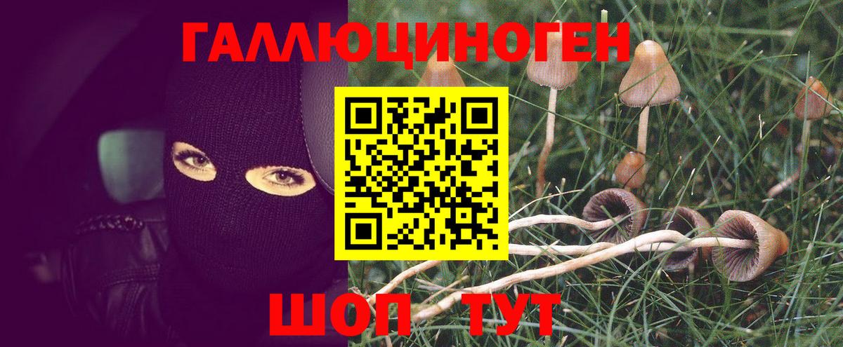 Ревда  Галлюциногенные грибы мухоморы  Вход с VPN  Псилоцибиновые грибы GOLDEN TEACHER 